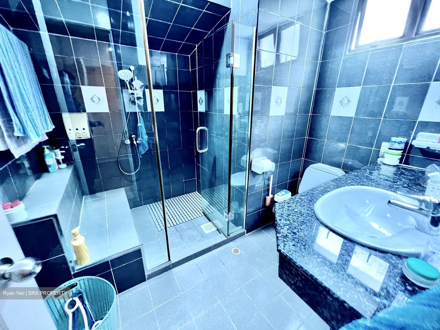 Hong Leong Garden (D5), Terrace #403519001